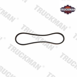 PASEK KLINOWY ALTERNATORA I POMPY WODY -2942