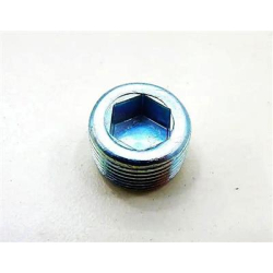 KOREK SPUSTU OLEJU ( 22x1,5 )